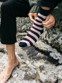 Hot Finisterre Classic Wool Striped Sock BlackCherry/Navy/Oatmeal